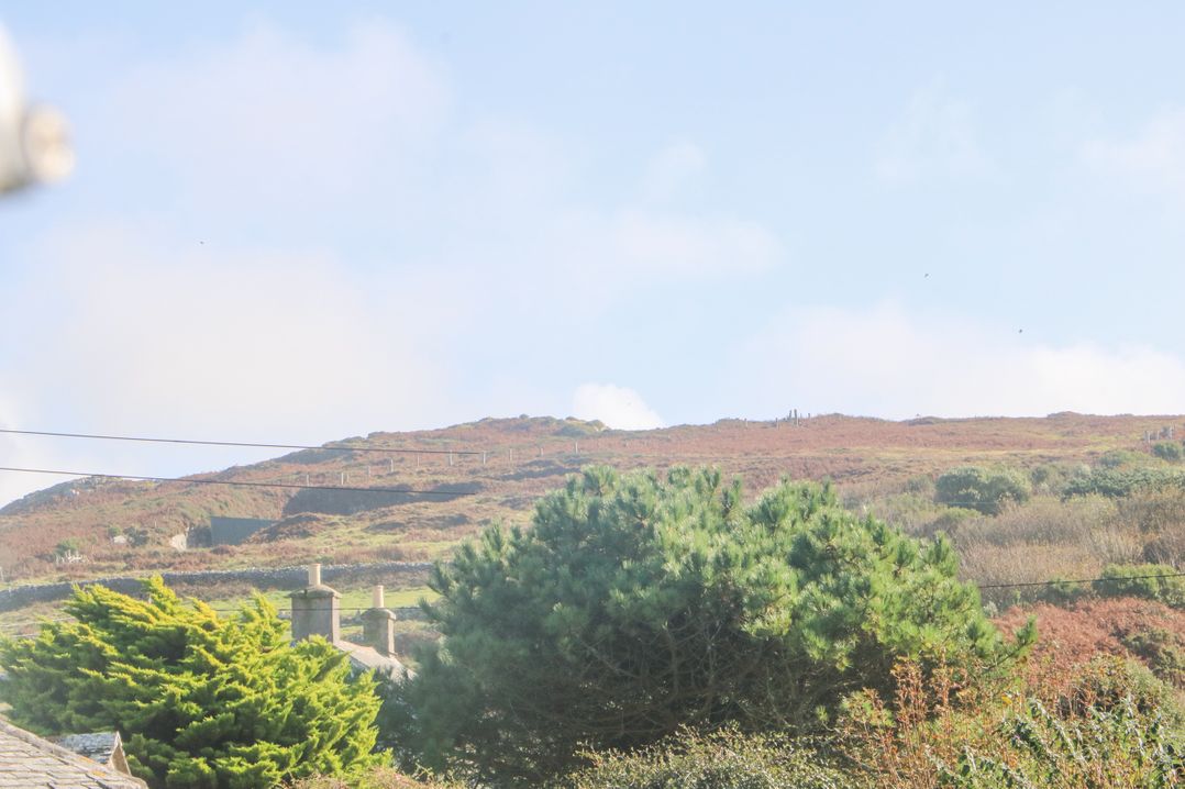 Bal View