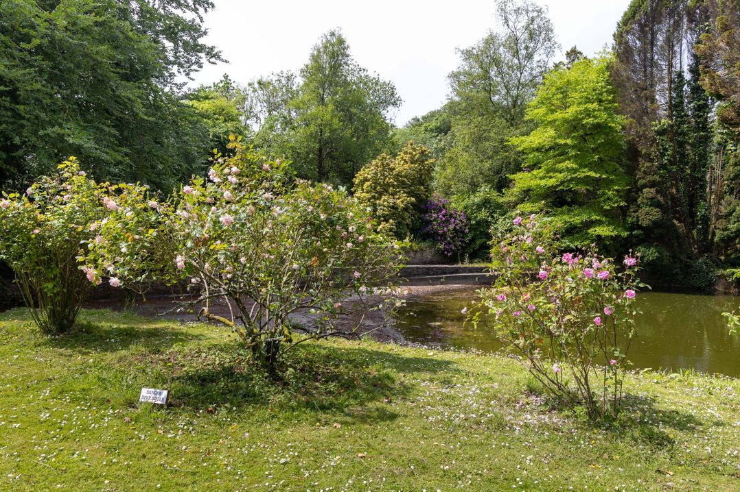 The Garden Cottage