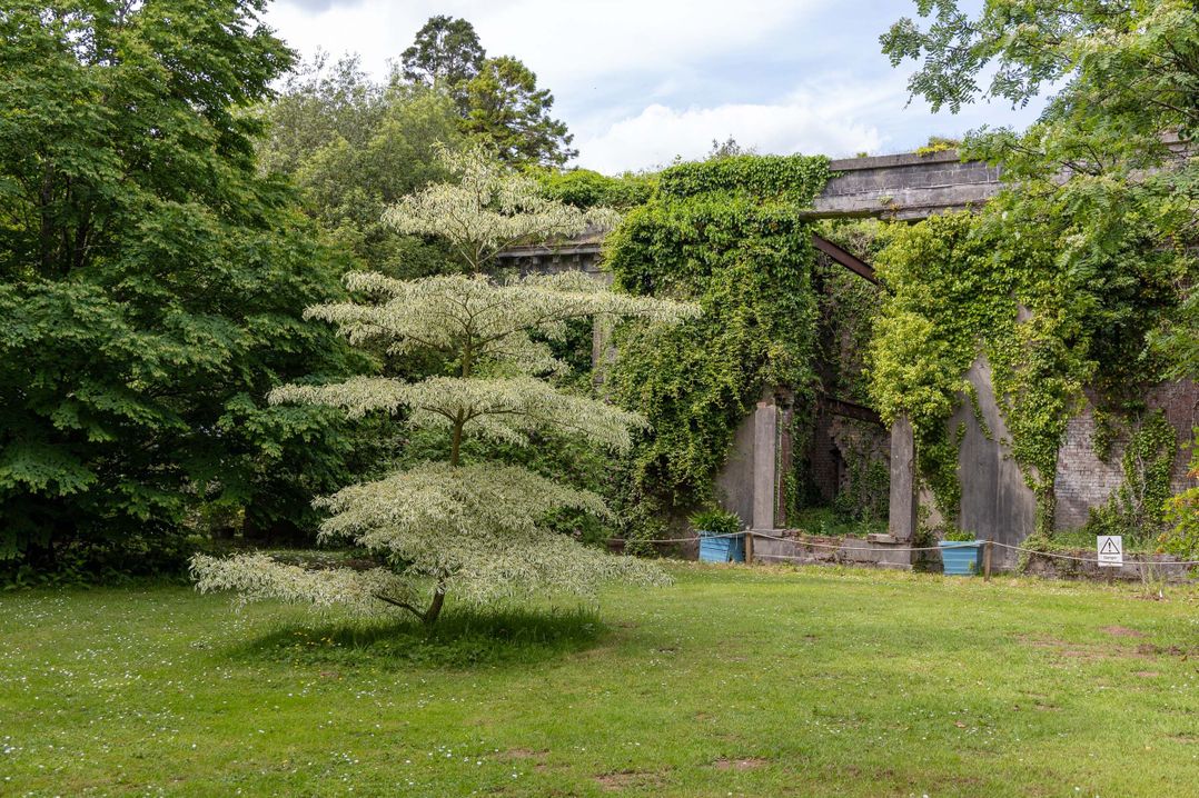 The Garden Cottage