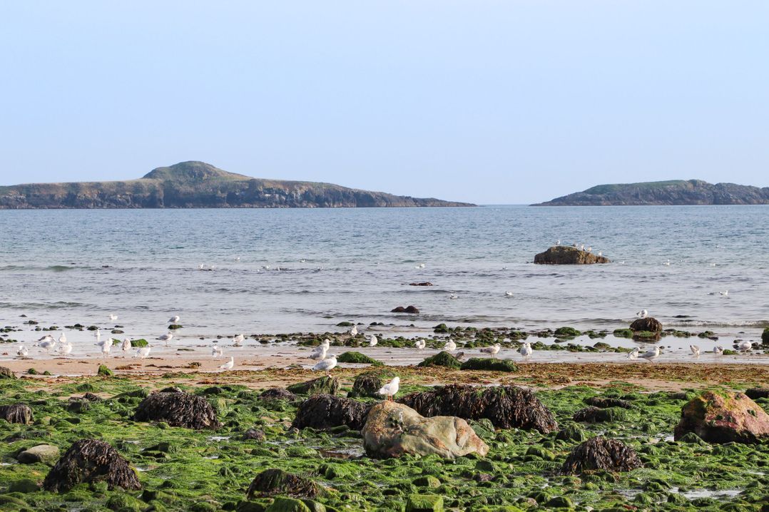 Bryn Ffynnon