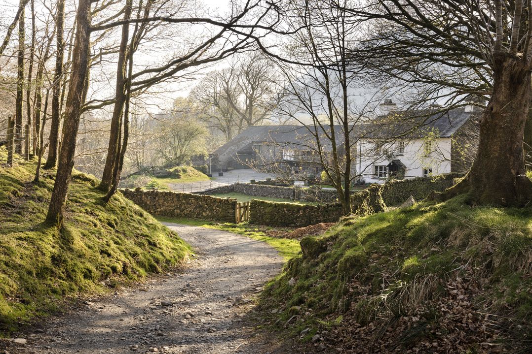 Yew Tree Farm