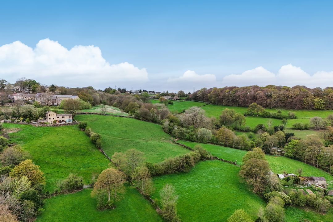Belvedere Farm