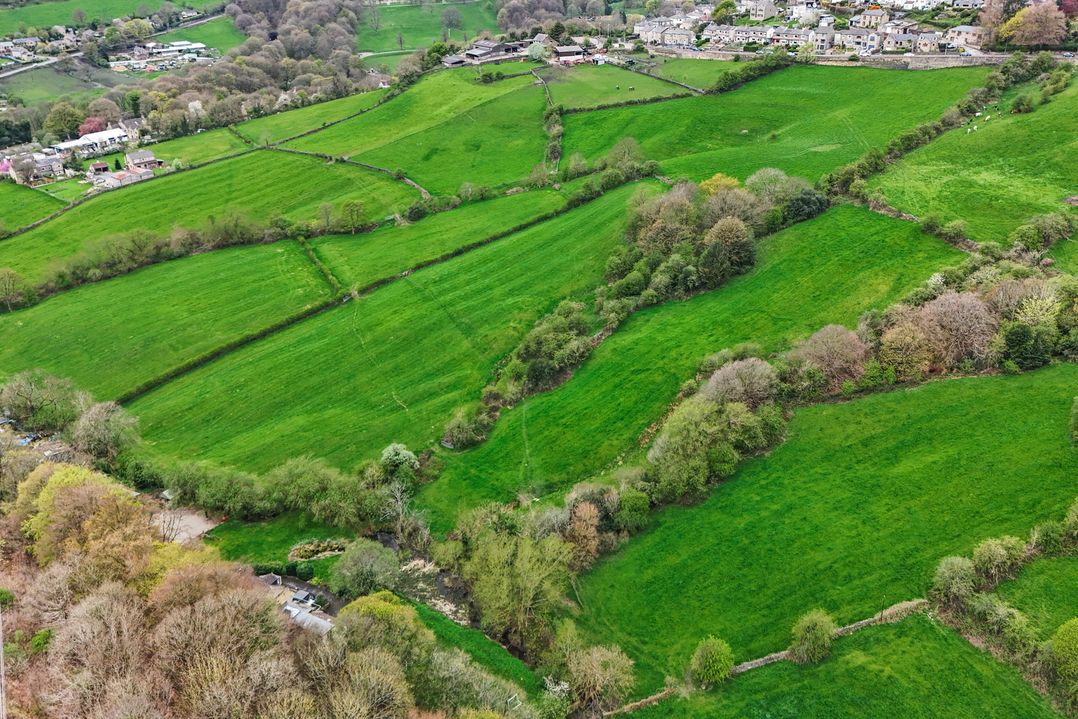 Belvedere Farm