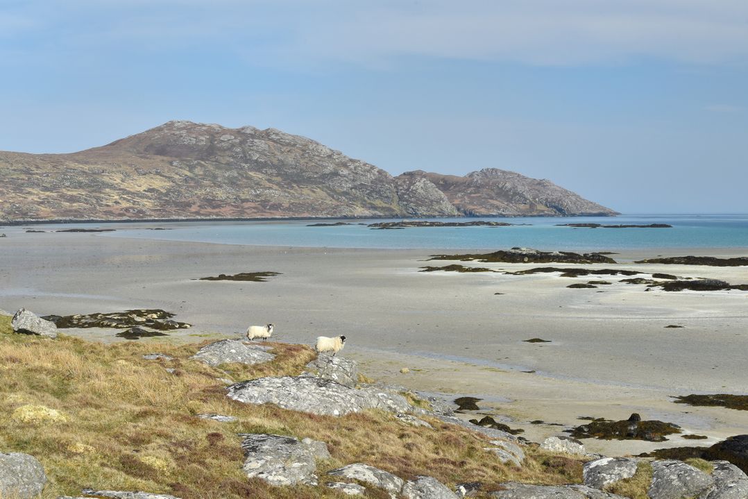 Rockpool