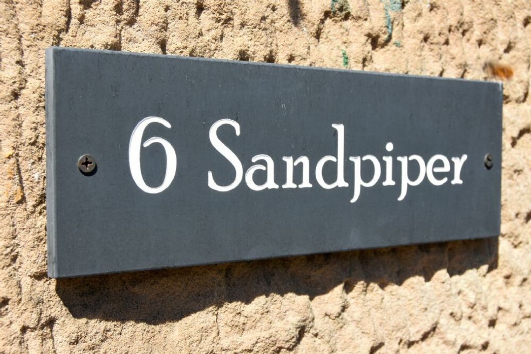 Sandpiper (Alnmouth)