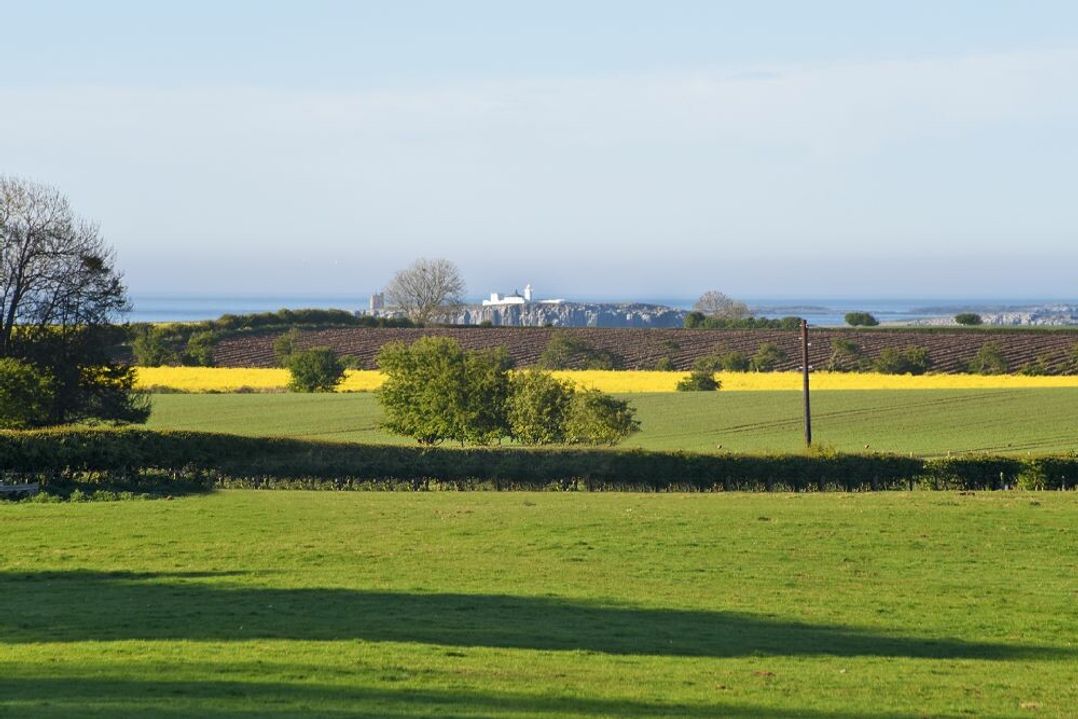 South View (nr Bamburgh)