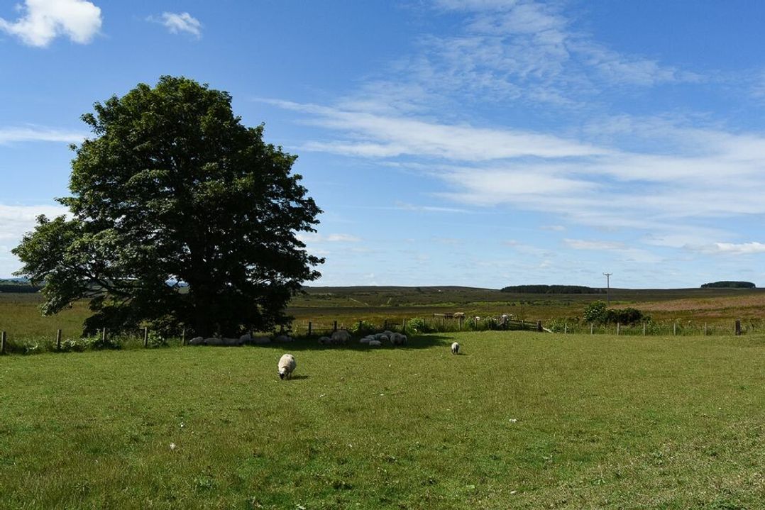 Hill Farm Cottage