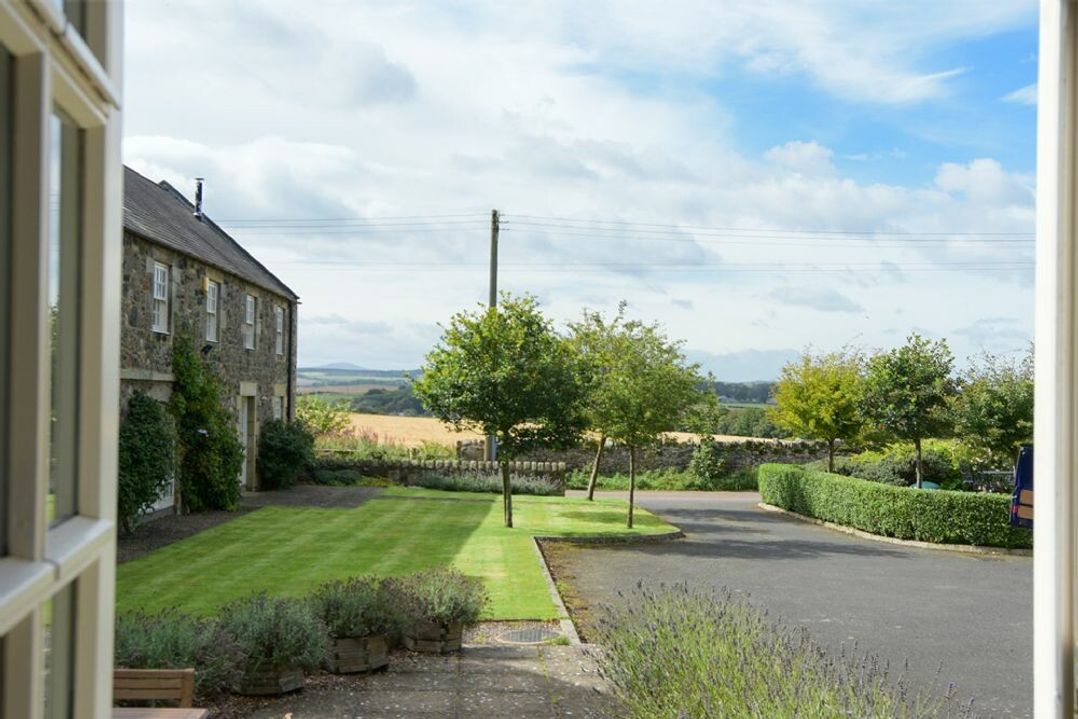 The Warren