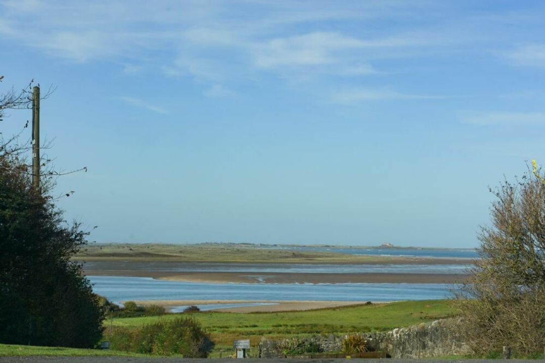 The Warren