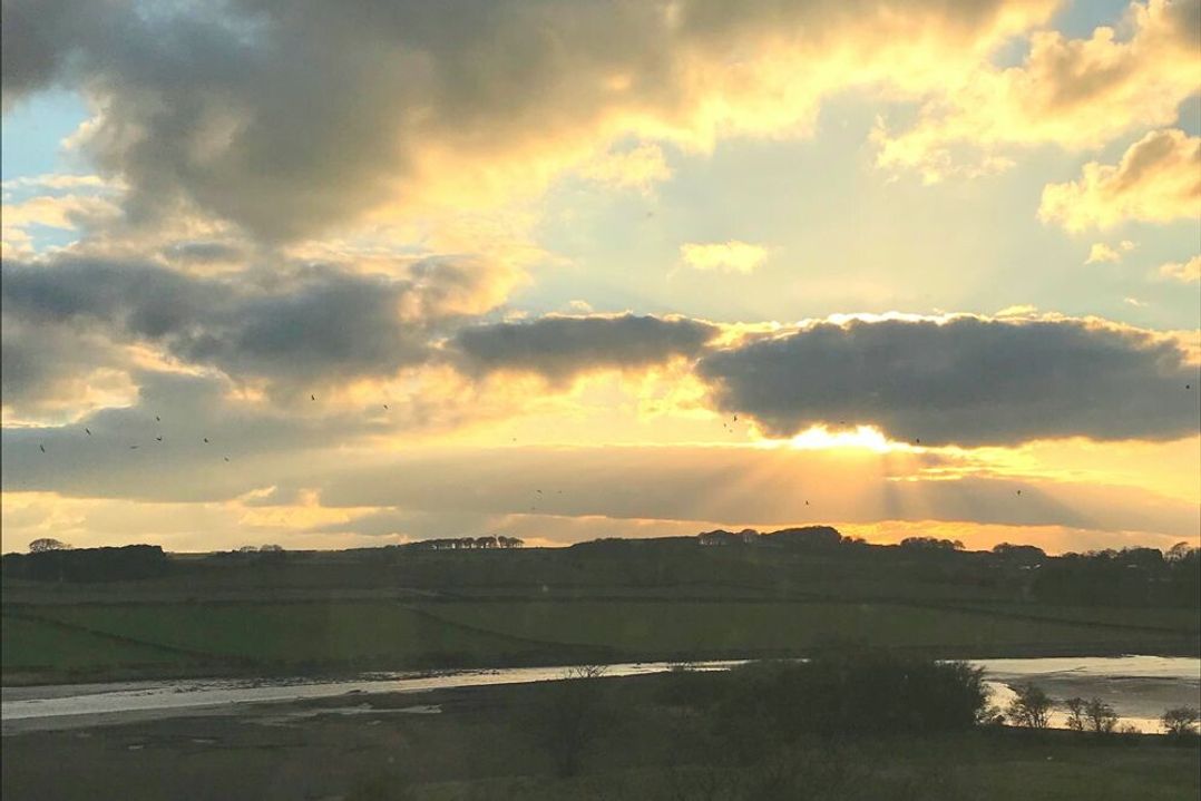 Estuary View