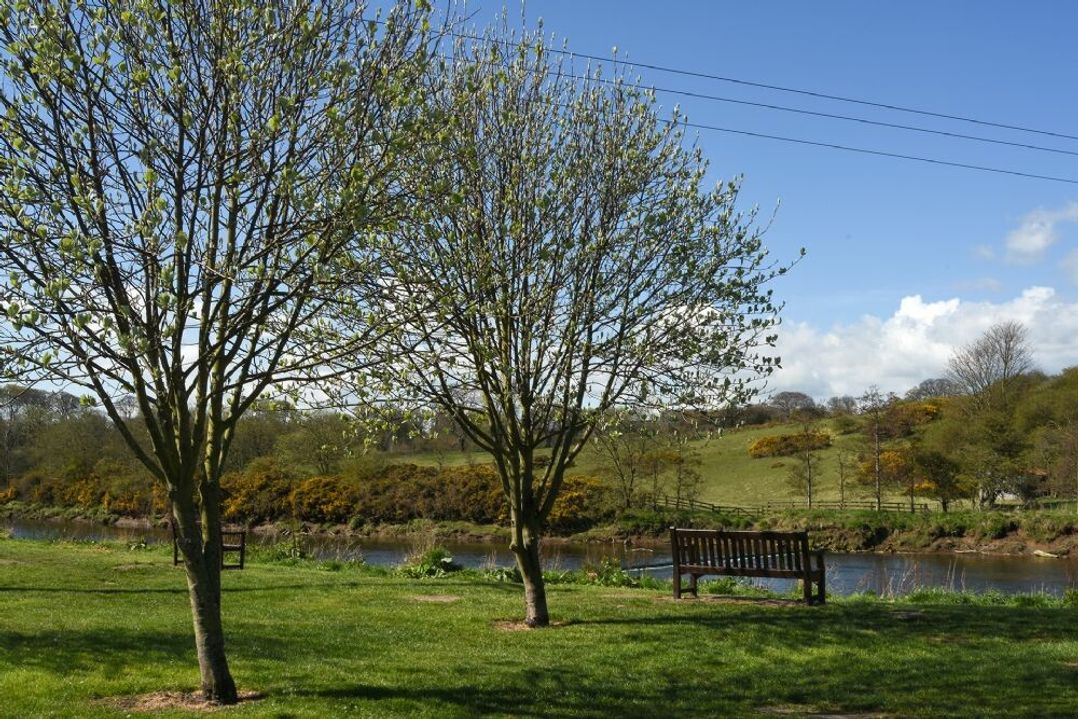 Coquet Cottage (Warkworth)