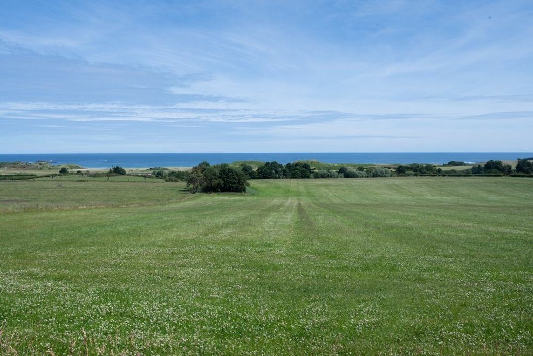 Fidra