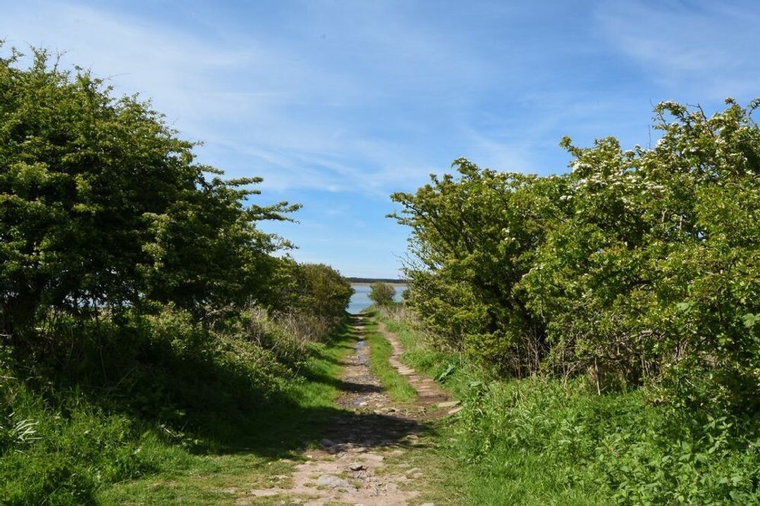 Kittiwake Cottage, Budle Bay