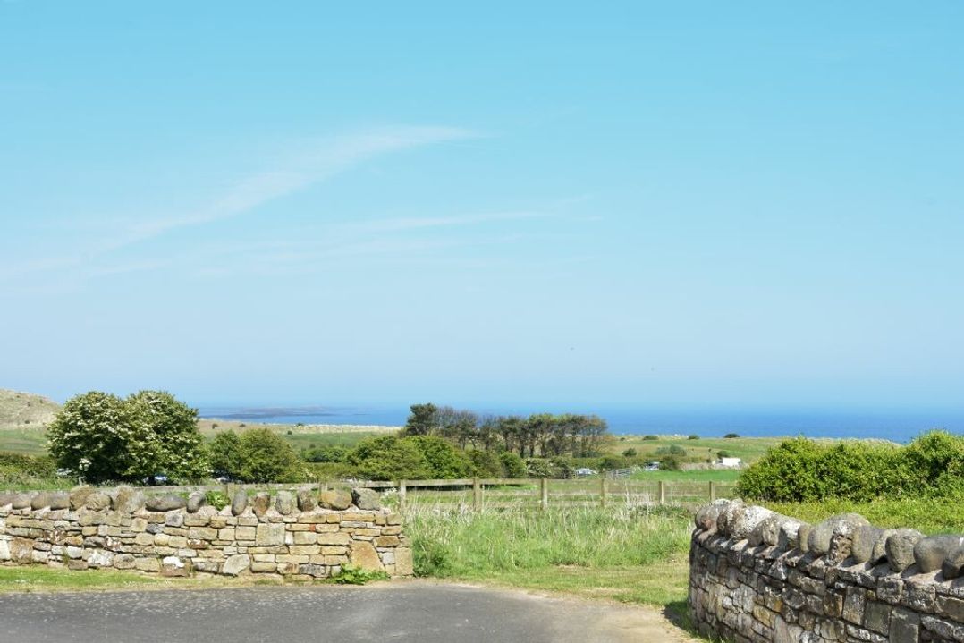 Ottoline Cottage