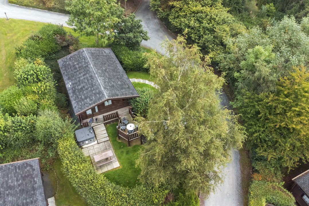 Great Owl Lodge