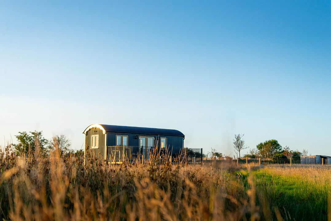 Head For the Hills Glamping - Skylark Shepherd's Hut