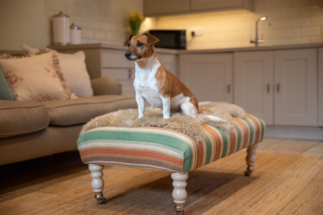 A dog sitting on an ottoman in a living room at The End in Low Ham near Langport
