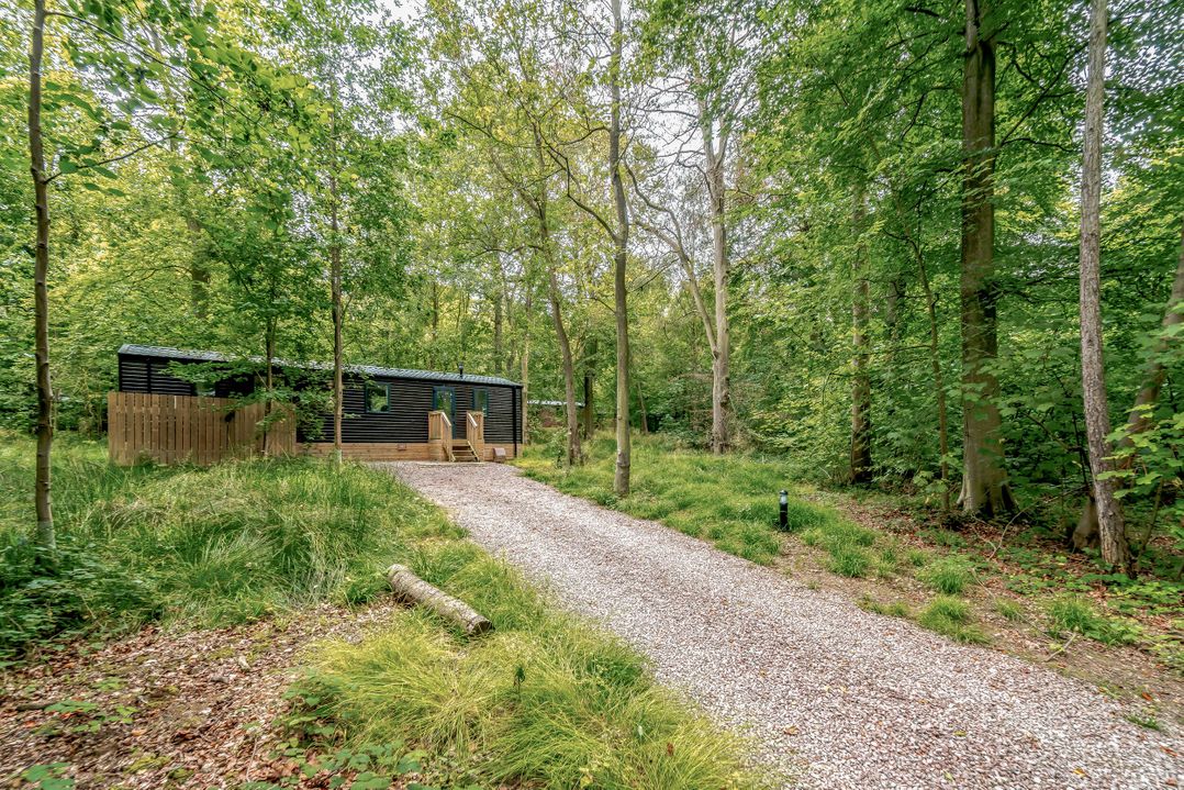 Horncastle Plus (Pet)