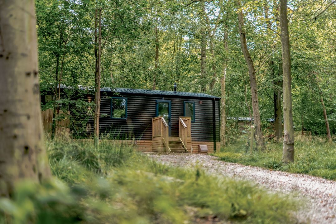 Horncastle Plus (Pet)