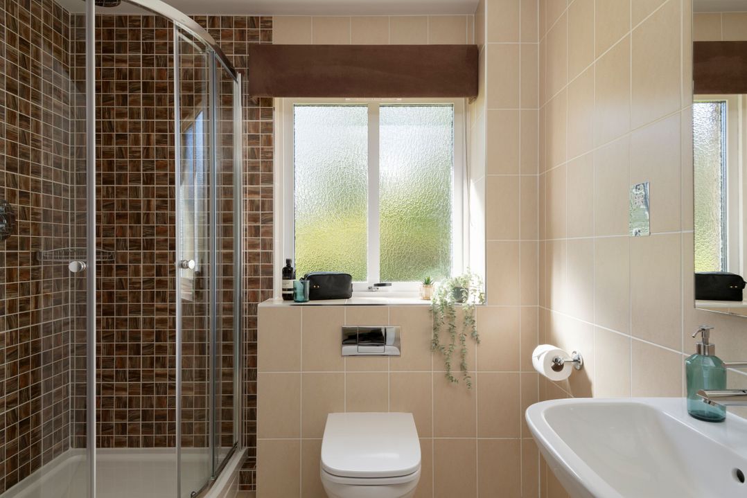 The Allensford (Pet)