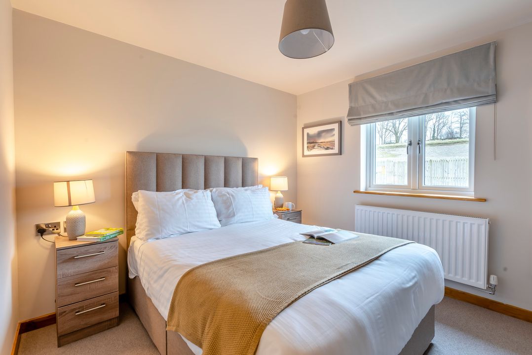 Tranquillity 3 (Pet)