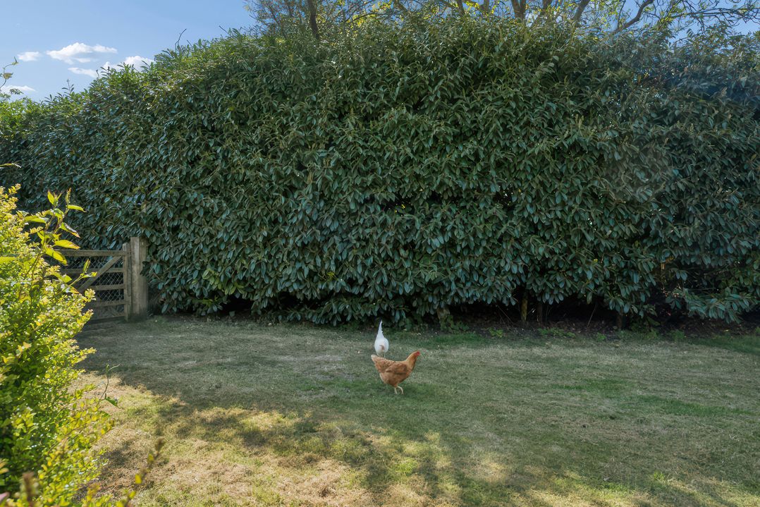 Five Acres Cottage