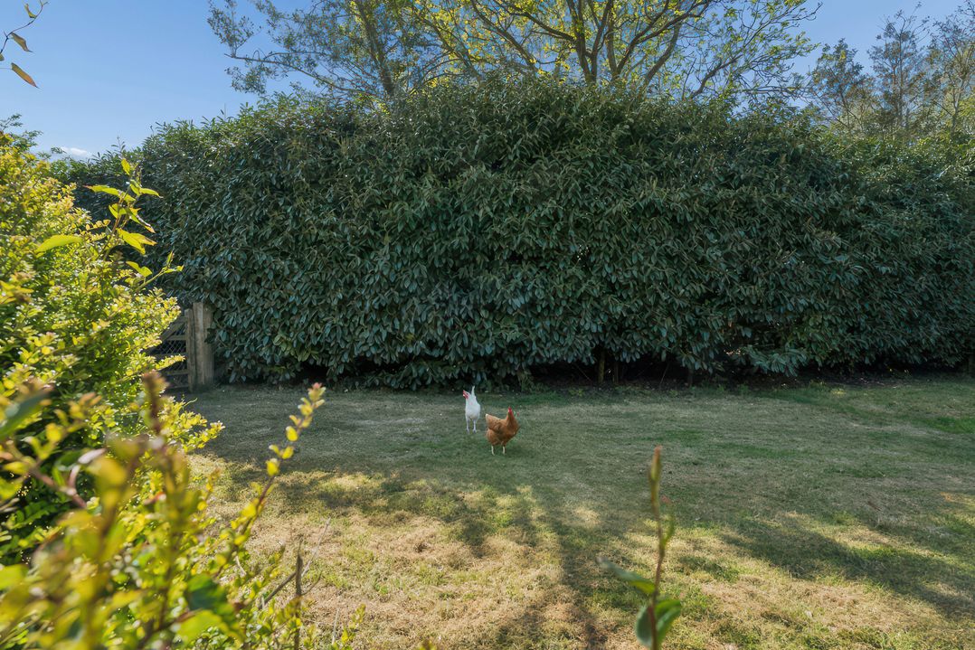 Five Acres Cottage