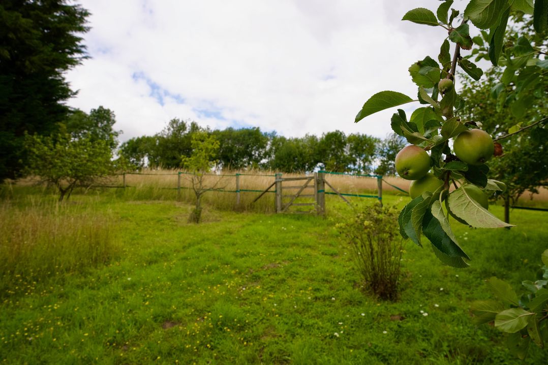 Tring Grange Cottage, Sleeps 2 with Onsite Parking