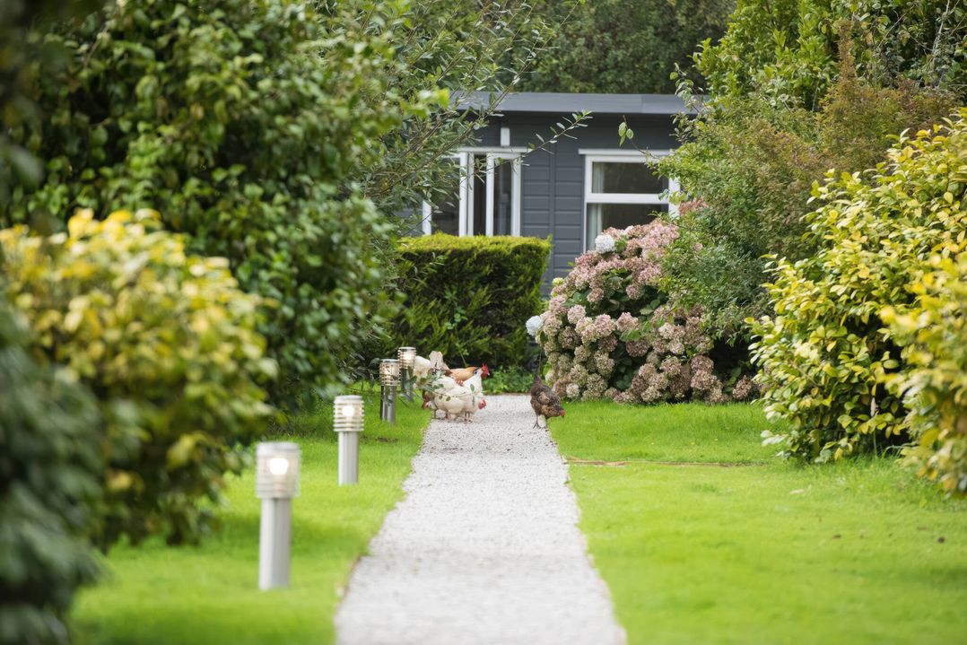 Hazel Lodge