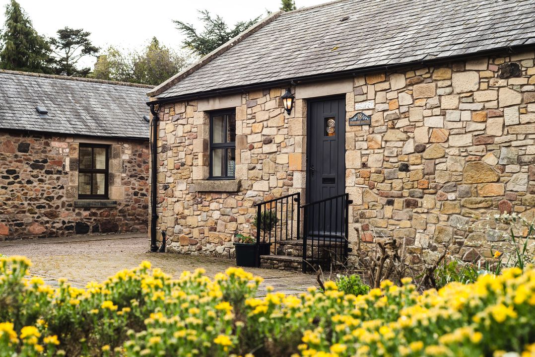 Blueberry Cottage