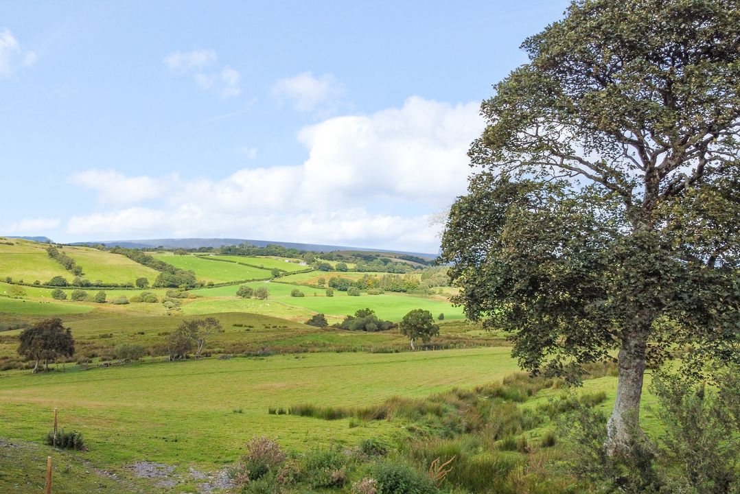 Orsedd Wen Farmhouse