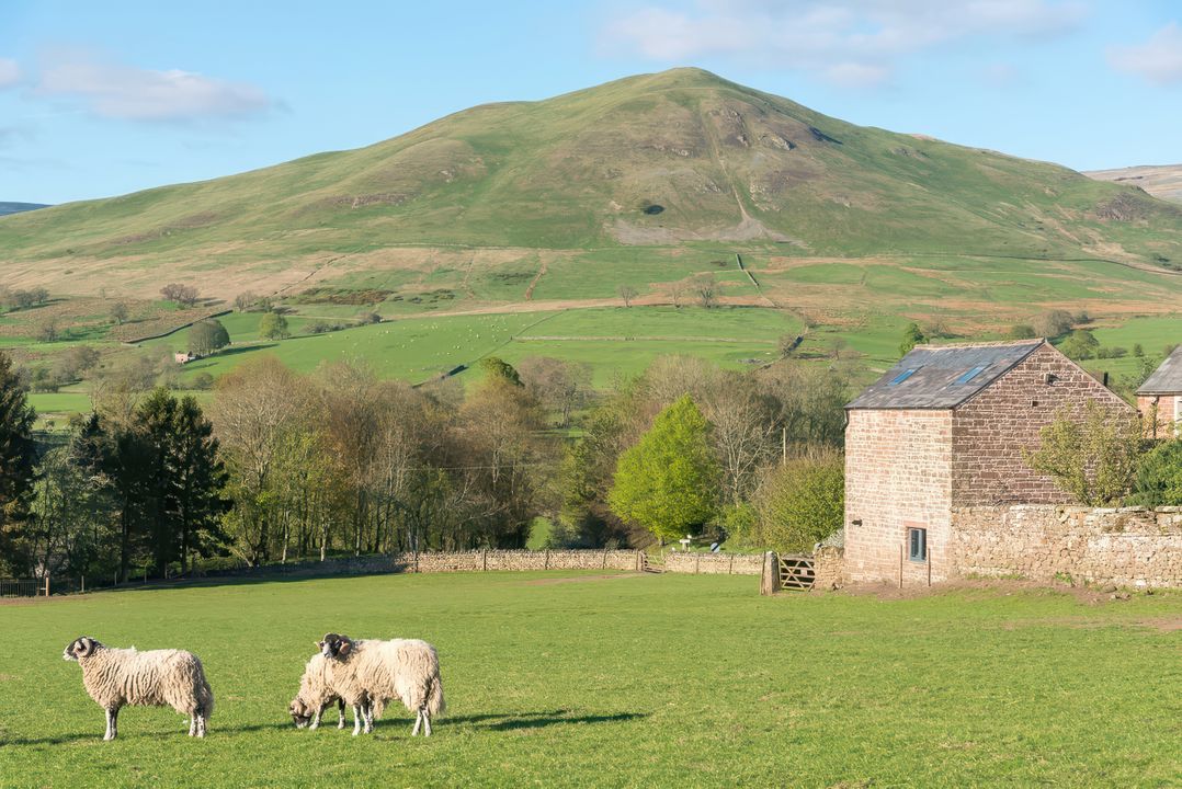 Shepherds View