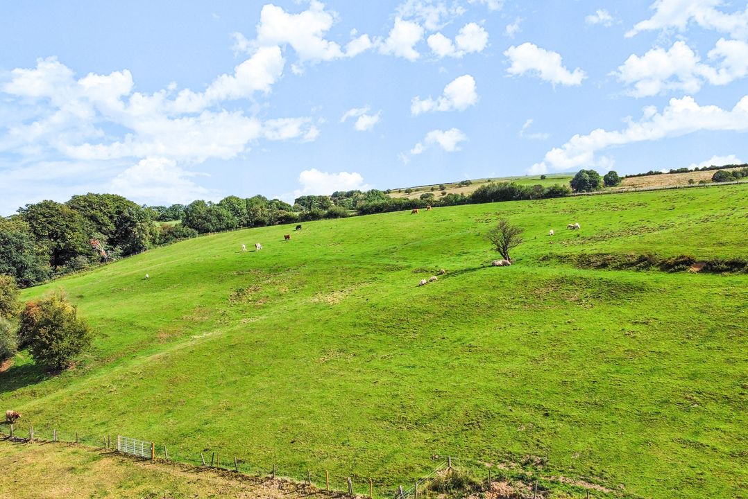 Pastures Barn