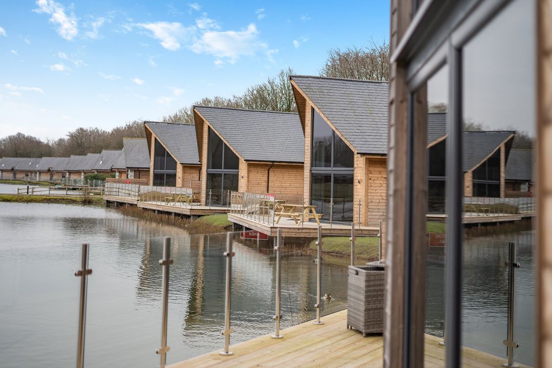 Tranquillity 3 (Pet)