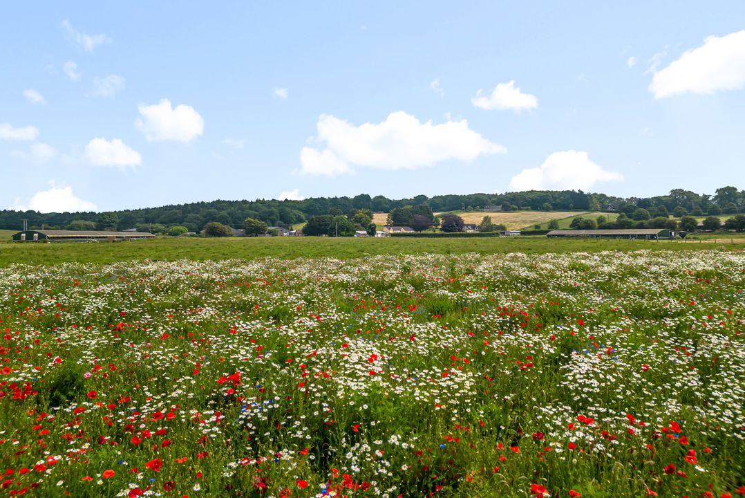 Oxen Cottage @ Nables Farm