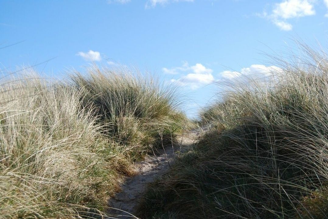 Dunes Cottage