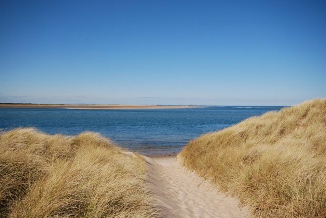 Heather Cottages - Godwit