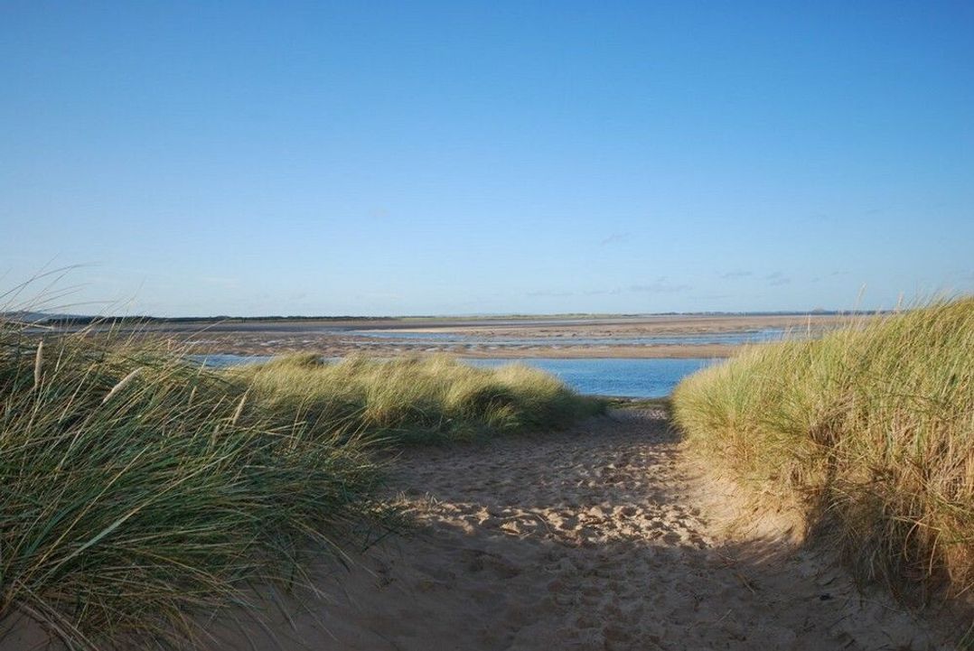Heather Cottages - Grey Seal