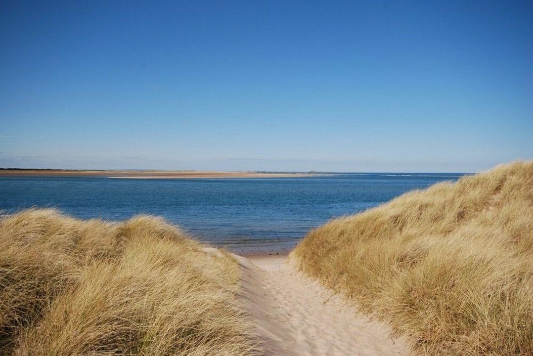 Heather Cottages - Grey Seal