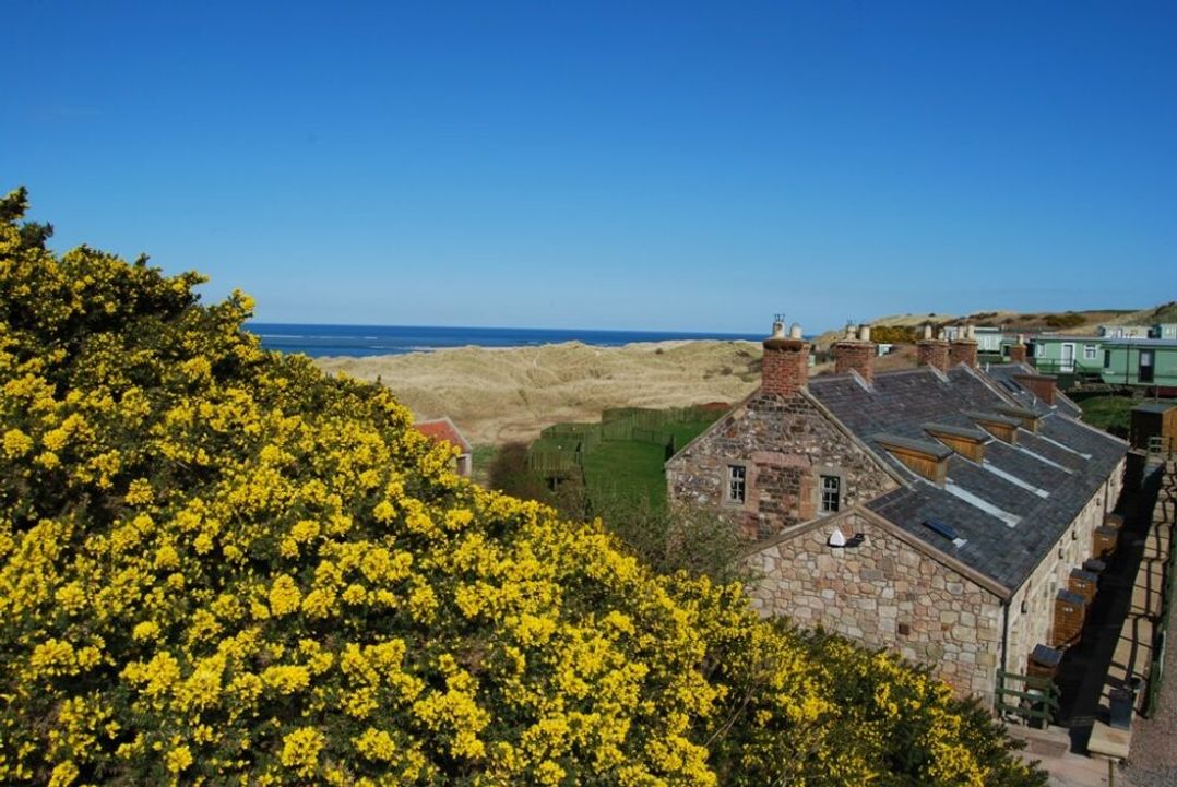 Heather Cottages - Plover