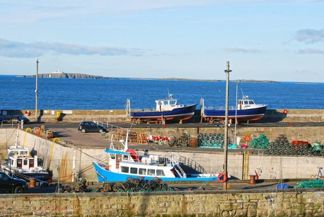 Farne Lookout