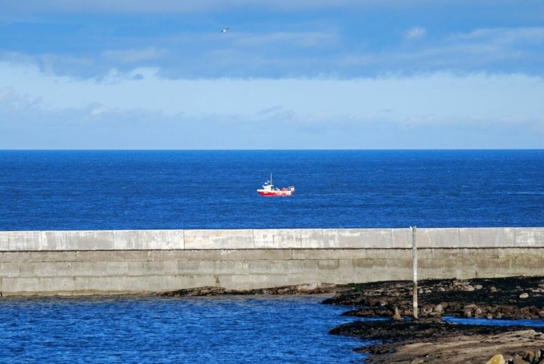 Farne Lookout