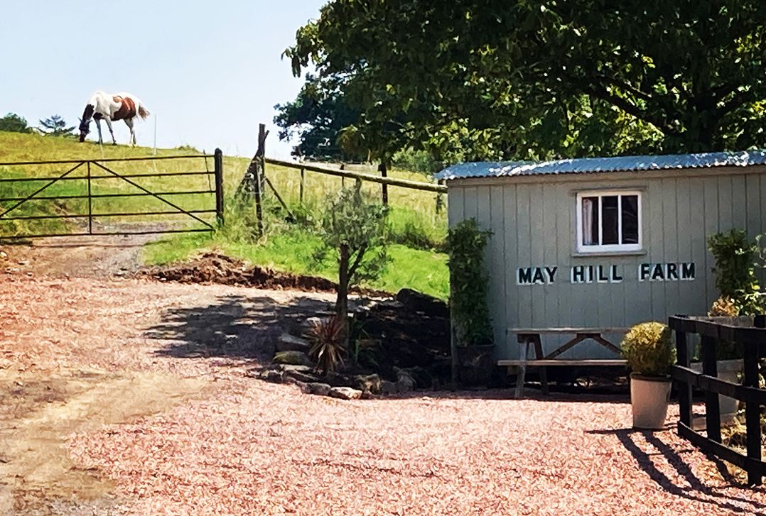 Cosy Shepherd’s Hut
