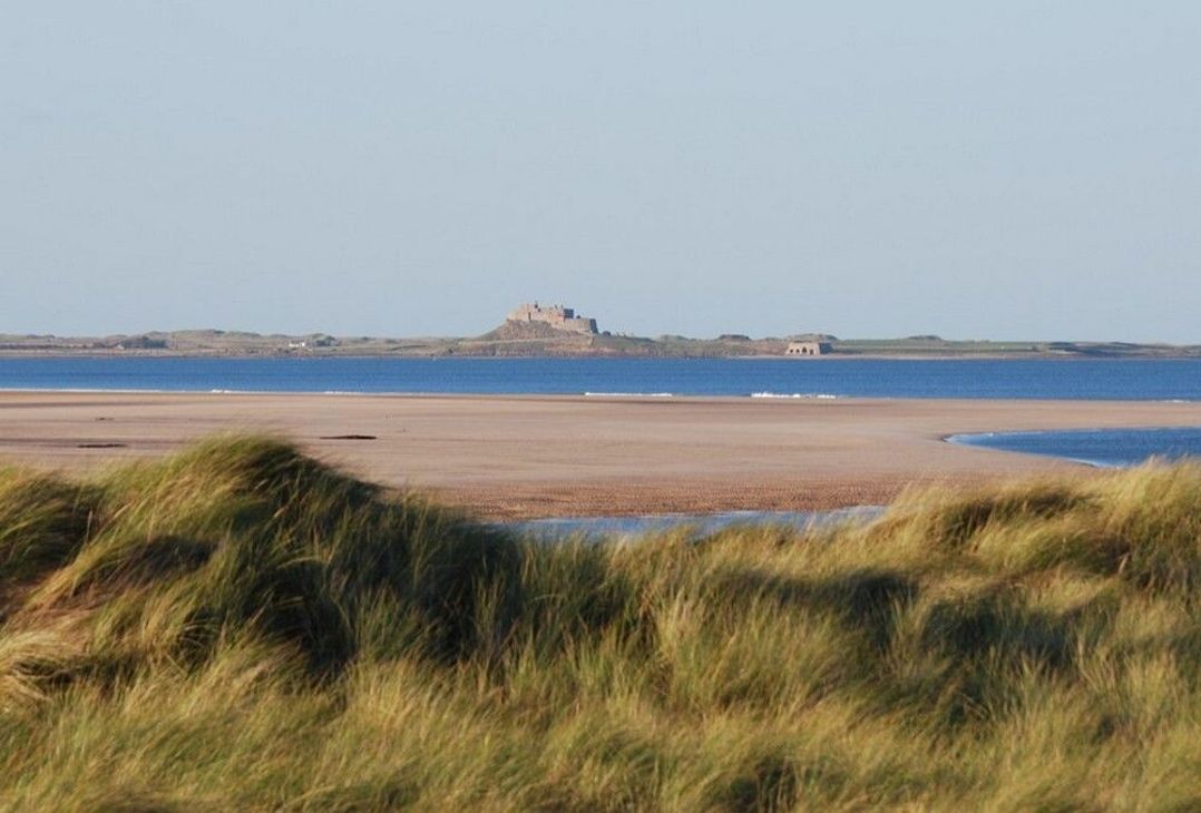 Heather Cottages - Grey Seal