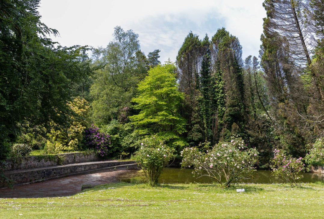The Old Carriage Court