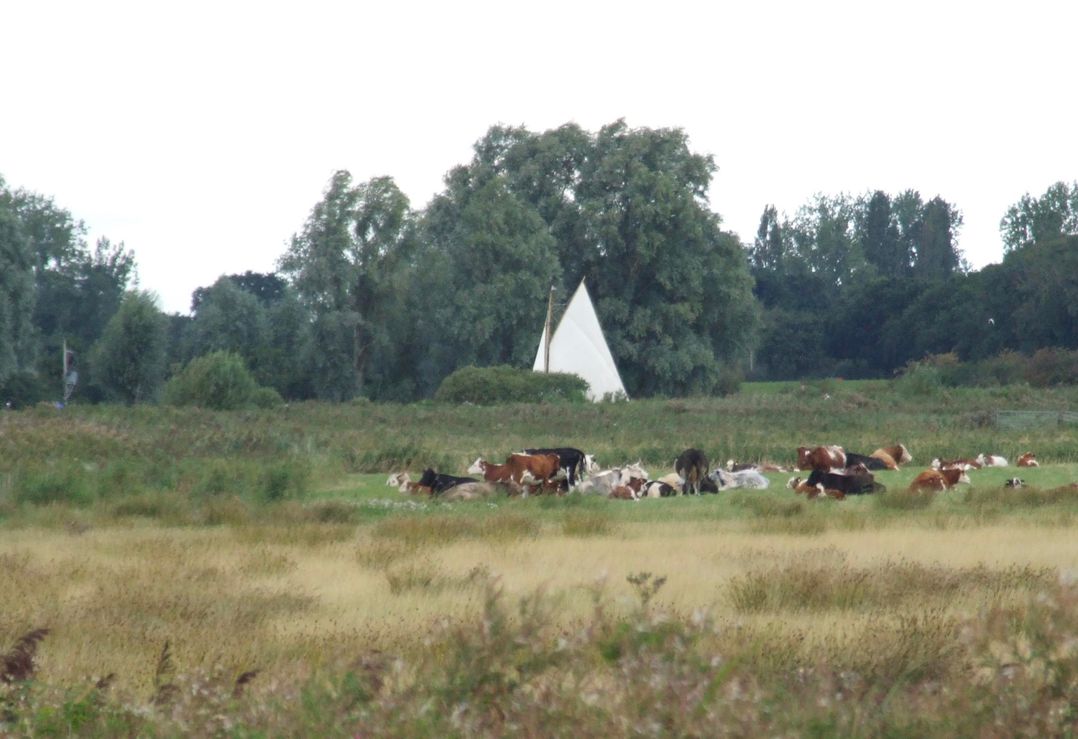 Woodland Lodge The Snug