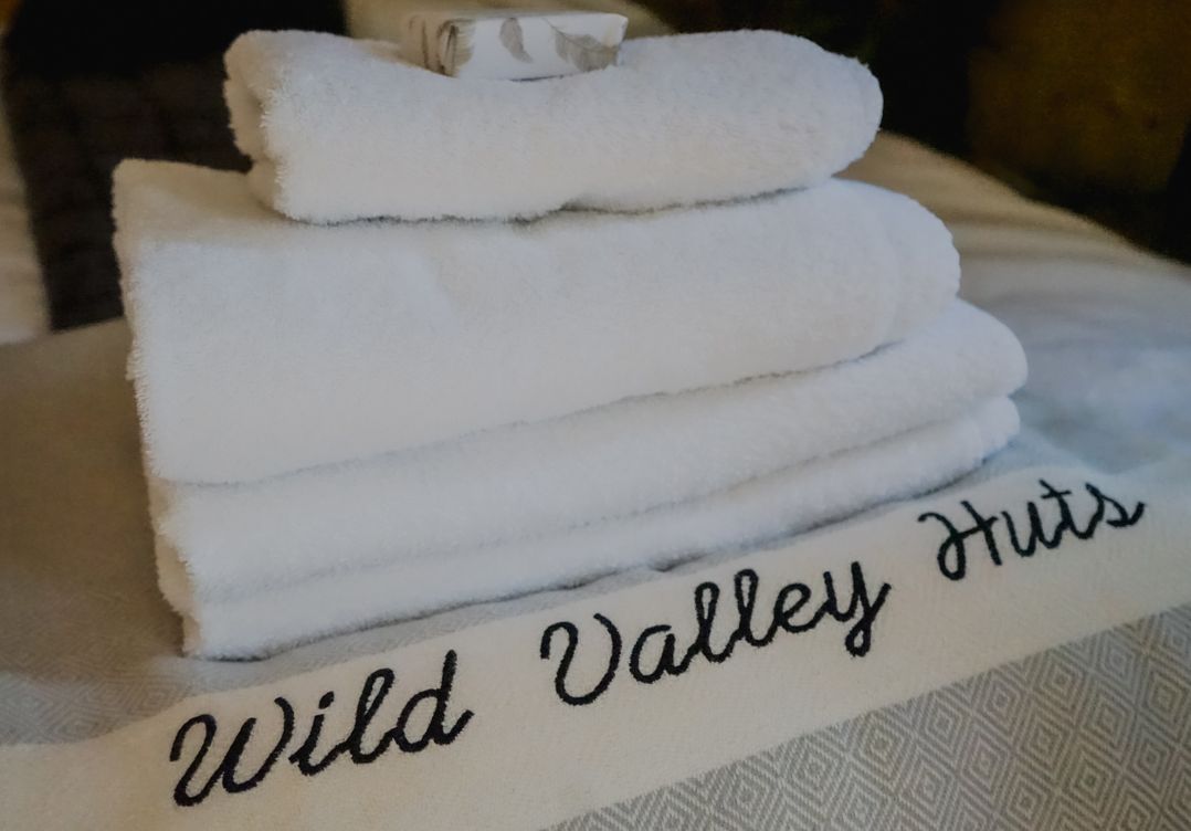 Red Kite at Wild Valley Huts