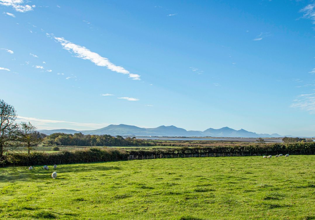 Cae Ffynnon
