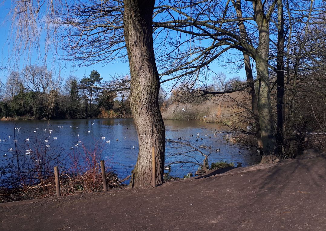 Village retreat with canal walk into Chester
