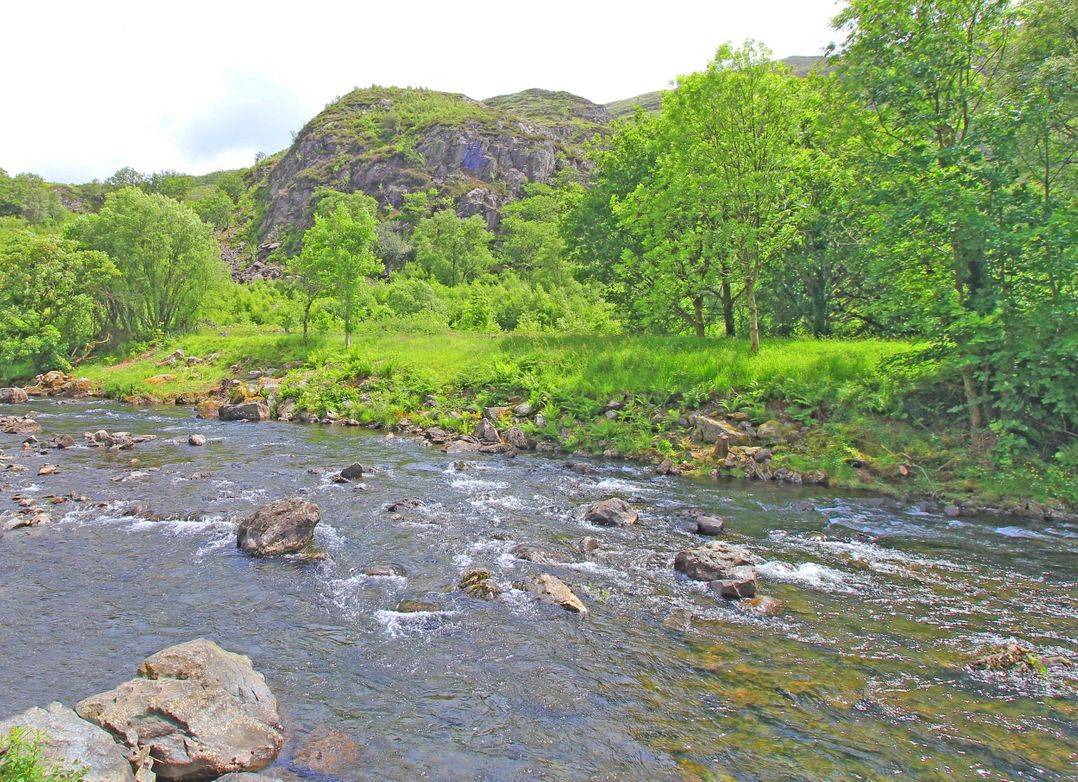 Riverbank Cottage
